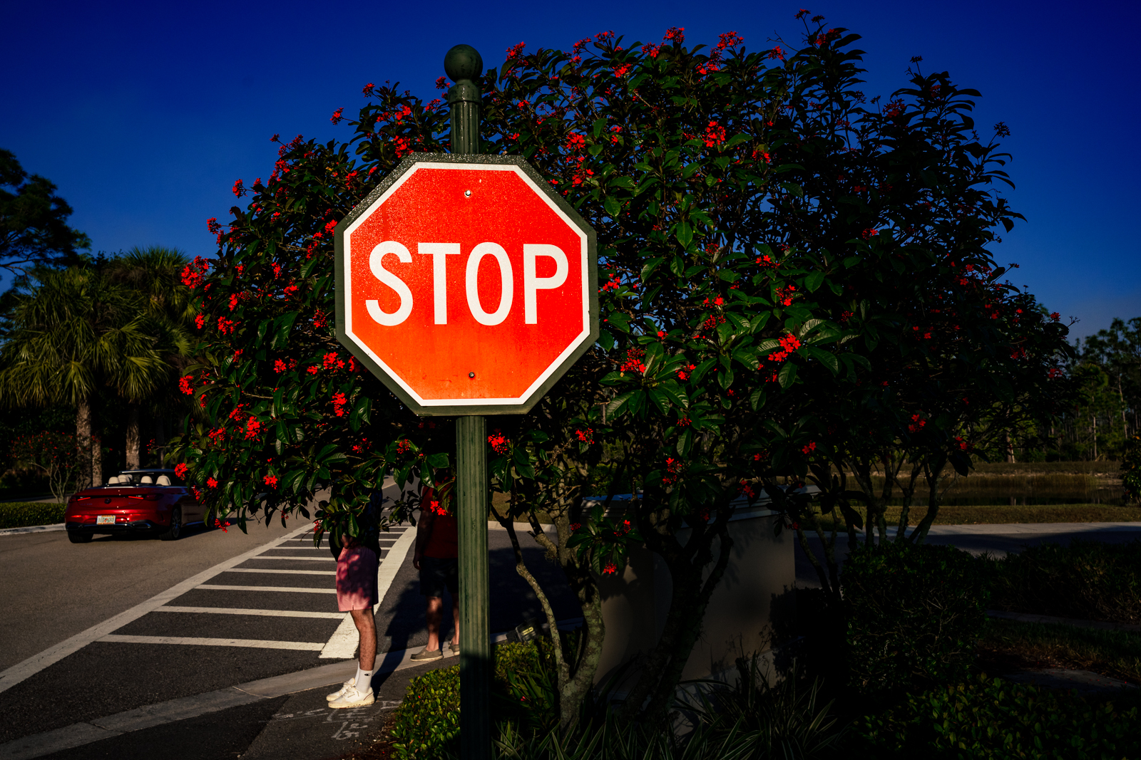 Documentary image by Alison Lapczuk Photography